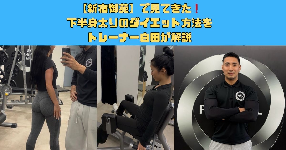 新宿御苑で見てきた下半身太りのダイエット方法 をトレーナー白田が解説