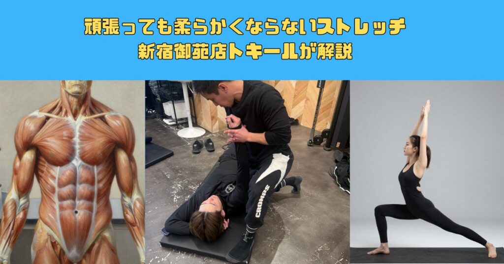 ストレッチしても柔らかくならない原因