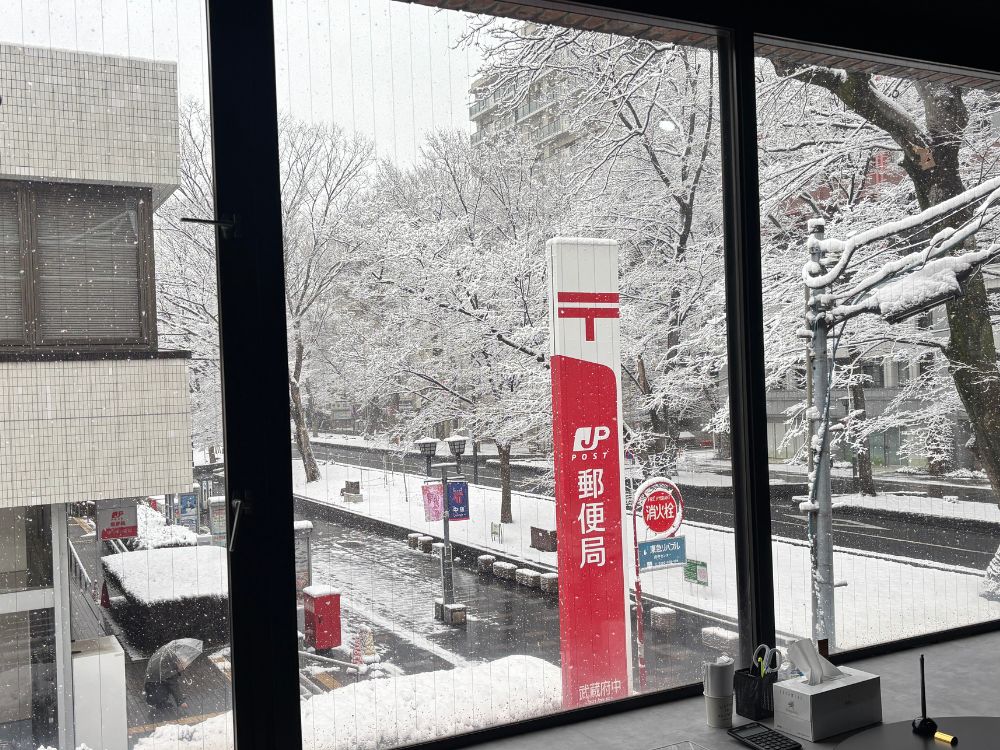 府中店の大きな窓からは四季折々のけやき並木通りの景色が