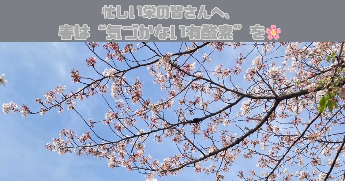 忙しい栄の皆さんへ、春は“気づかない有酸素”を🌸