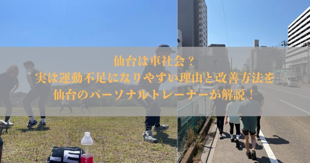 仙台は車社会？実は運動不足になりやすい理由と改善方法を仙台のパーソナルトレーナーが解説！