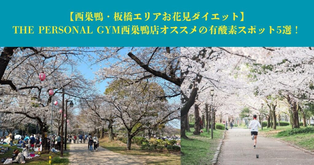【西巣鴨・板橋エリアお花見ダイエット】THE PERSONAL GYM西巣鴨店オススメの有酸素スポット5選！