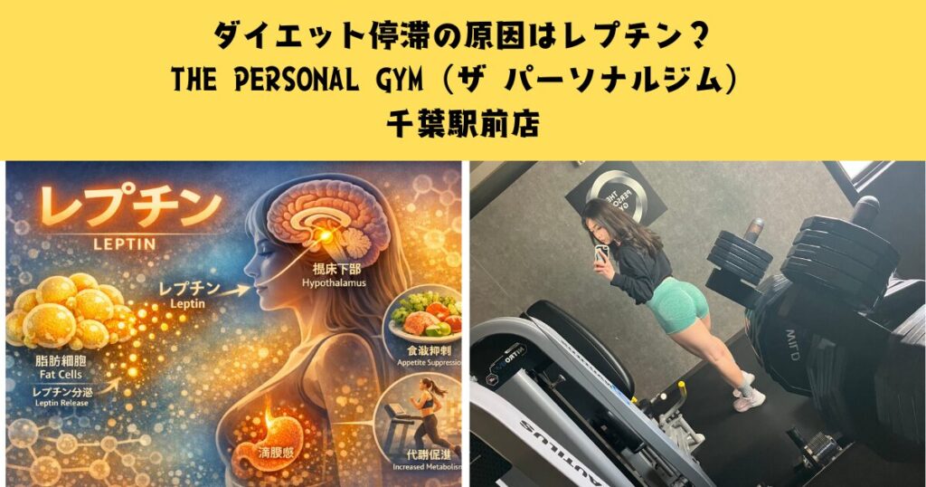 ダイエット停滞の原因はレプチン？THE PERSONAL GYM（ザ パーソナルジム）千葉駅前店