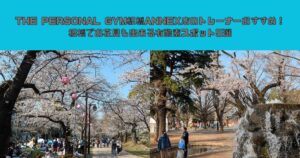 THE PERSONAL GYM板橋ANNEX店のトレーナーおすすめ！板橋でお花見も出来る有酸素スポット5選