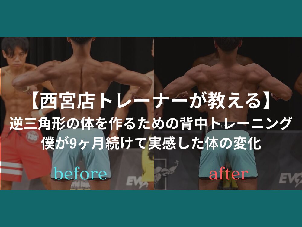 【西宮店トレーナーが教える】逆三角形の体を作るための背中トレーニング｜僕が9ヶ月続けて実感した体の変化