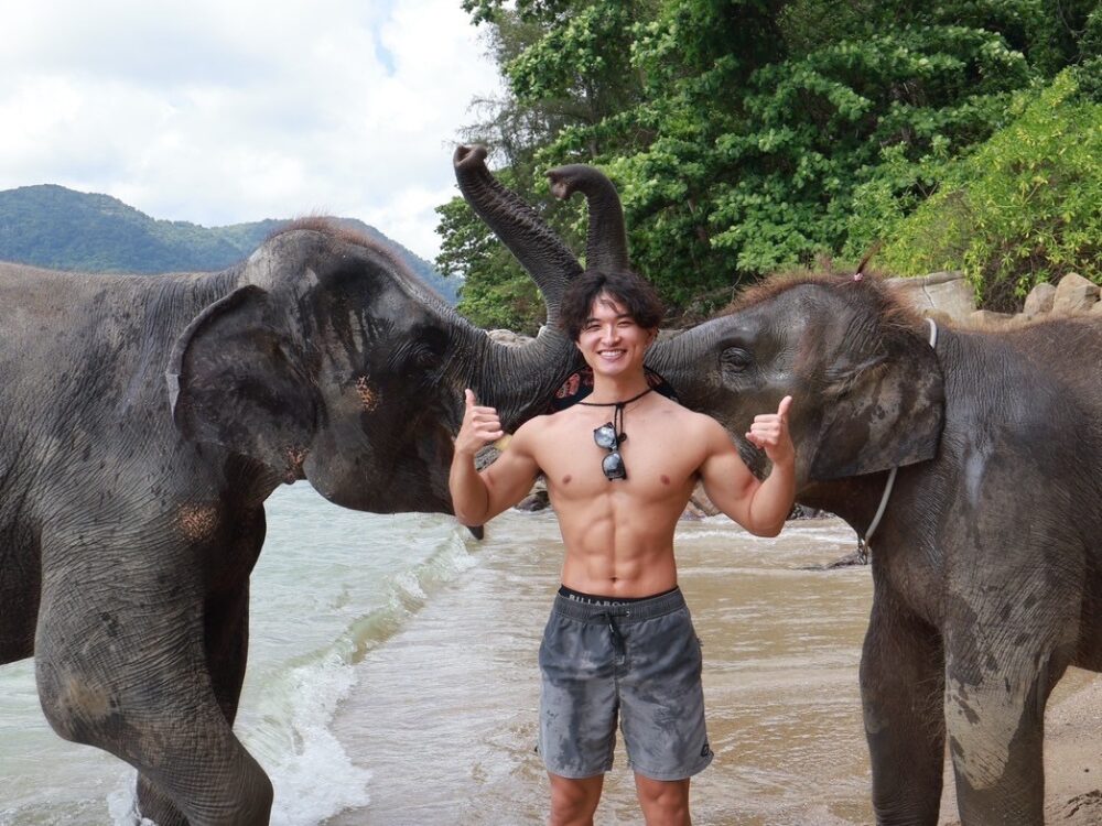 足立トレーナーと象の写真
