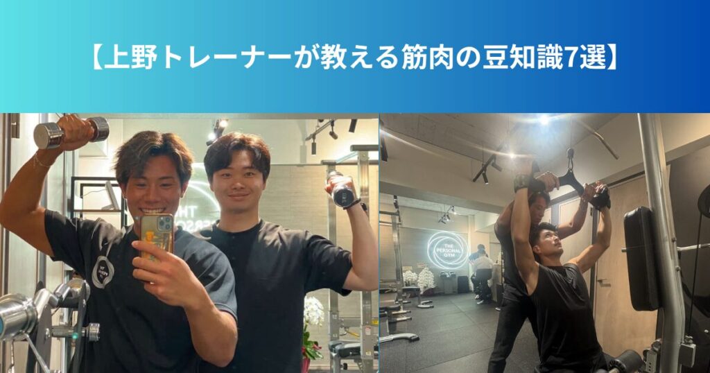 【上野トレーナーが教える筋肉の豆知識7選】