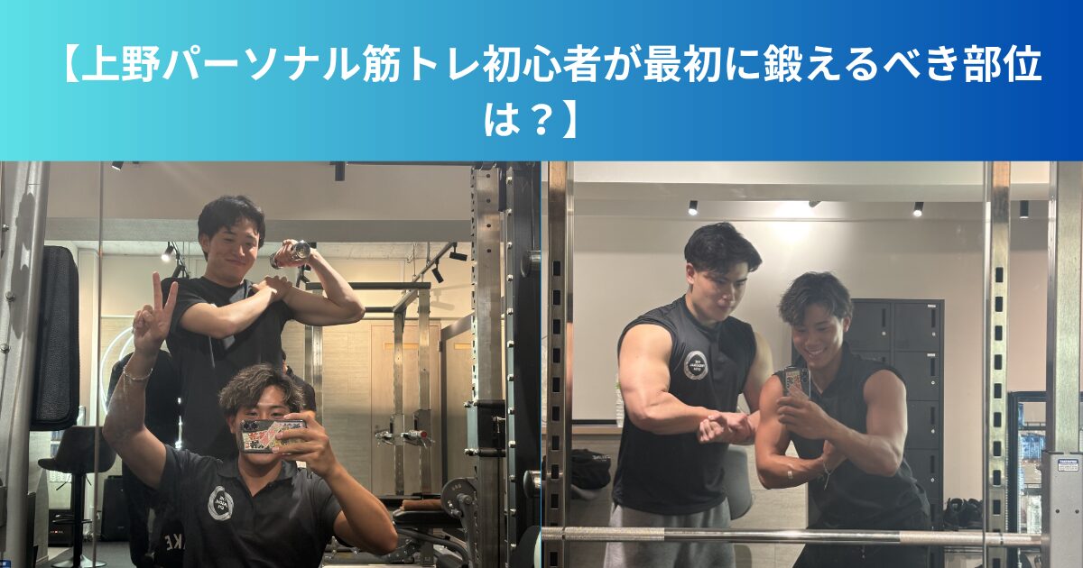 【上野パーソナル筋トレ初心者が最初に鍛えるべき部位は？】