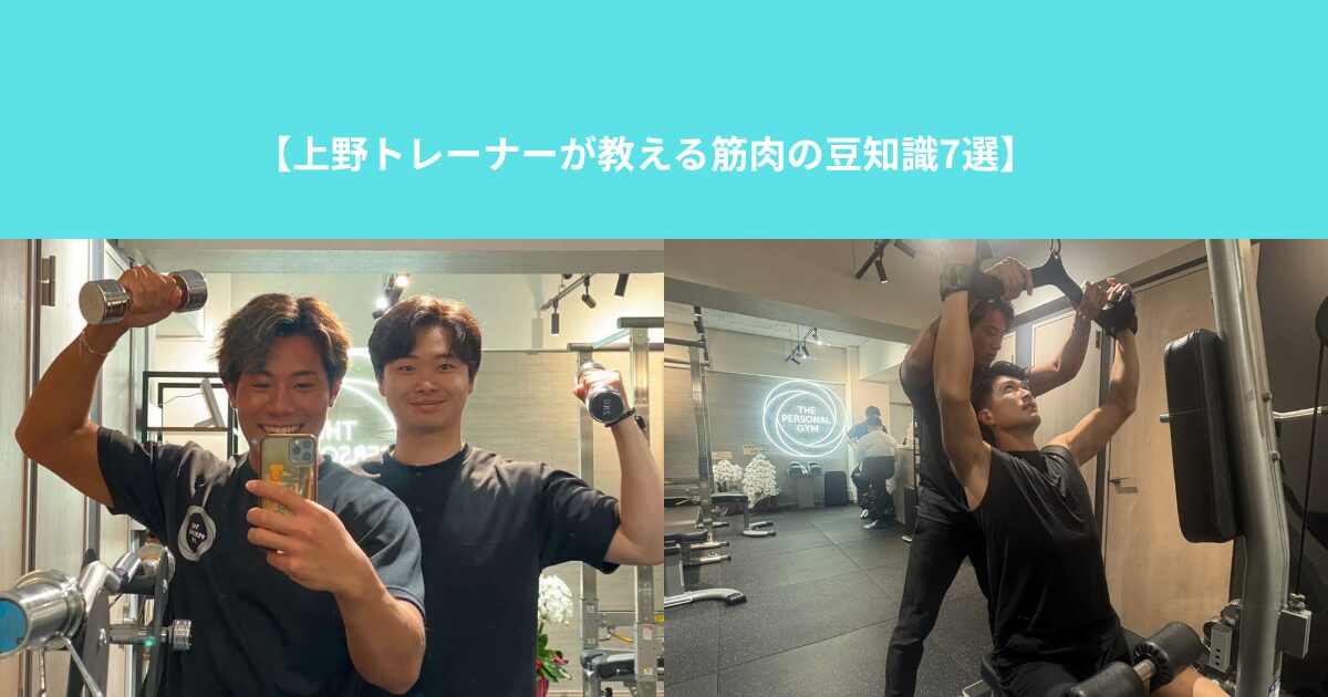 【上野トレーナーが教える筋肉の豆知識7選】