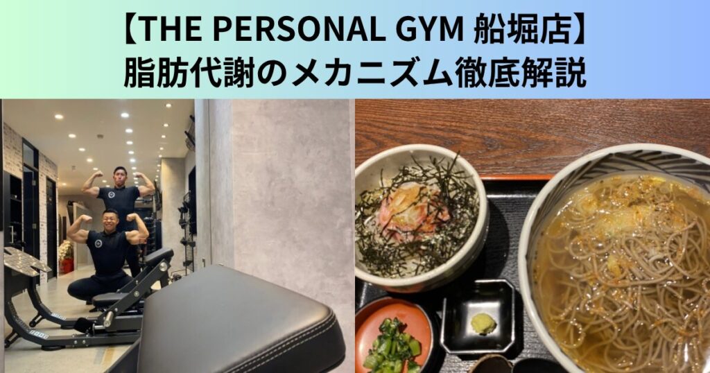 【THE PERSONAL GYM（ザ パーソナルジム）船堀店】脂肪代謝のメカニズムを徹底解説！