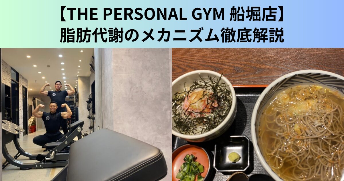 【THE PERSONAL GYM（ザ パーソナルジム）船堀店】脂肪代謝のメカニズムを徹底解説！