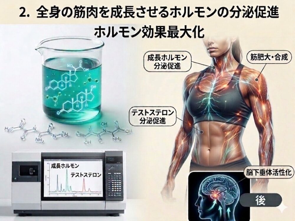 ホルモン