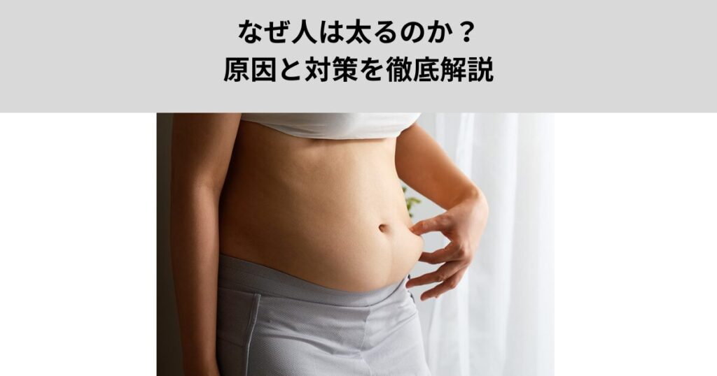 なぜ人は太るのか？原因と対策を徹底解説