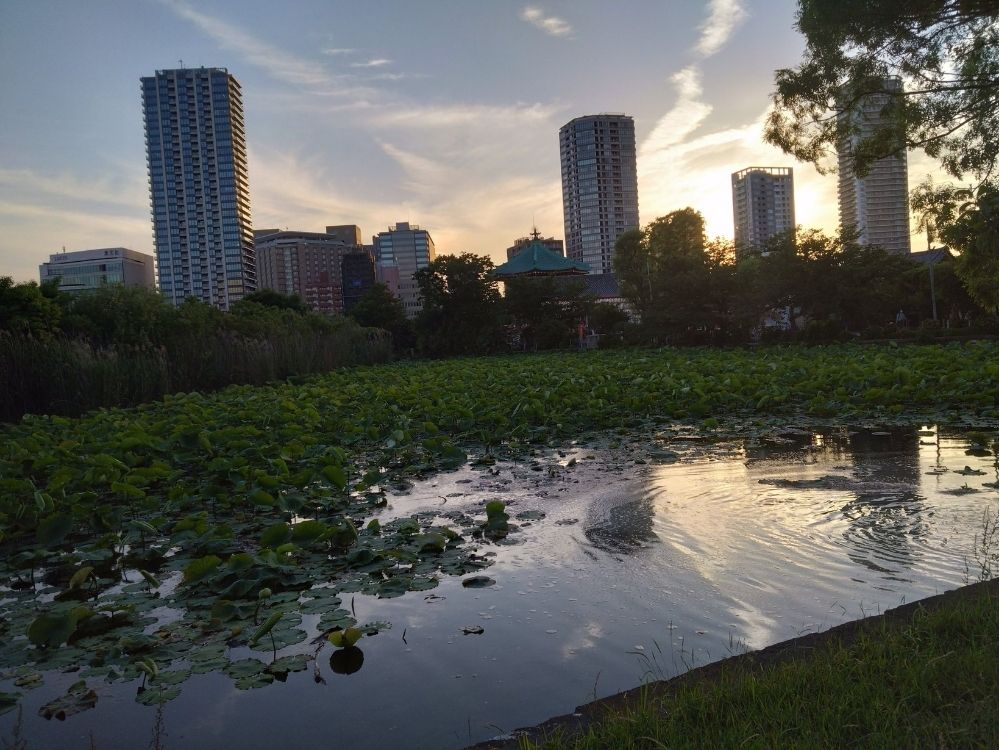 上野公園