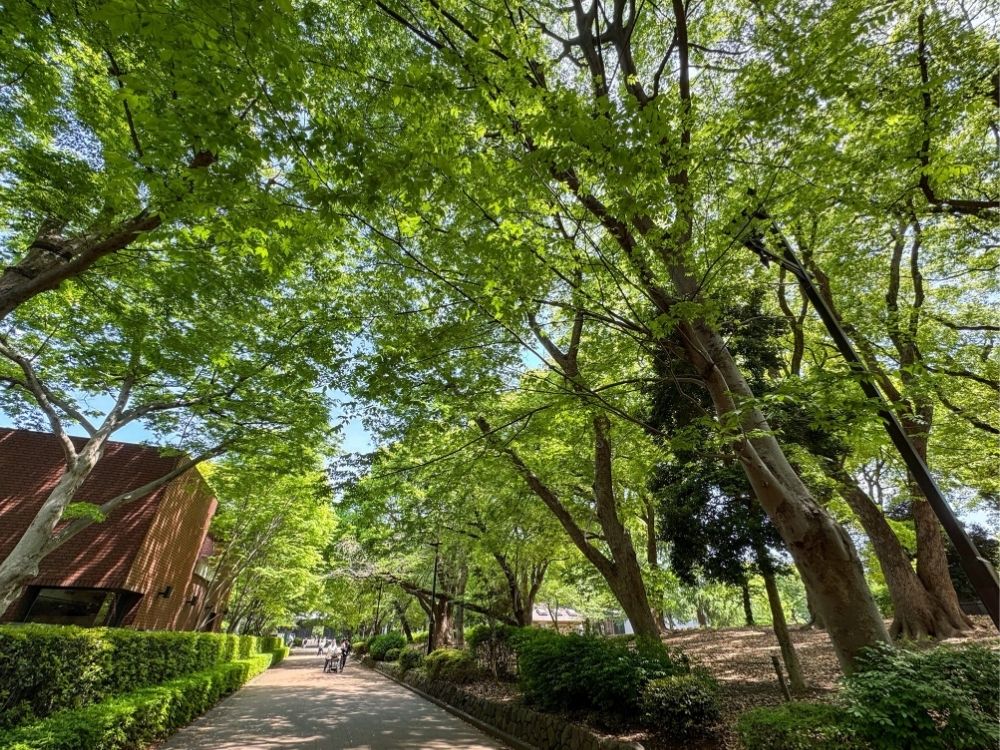 上野公園