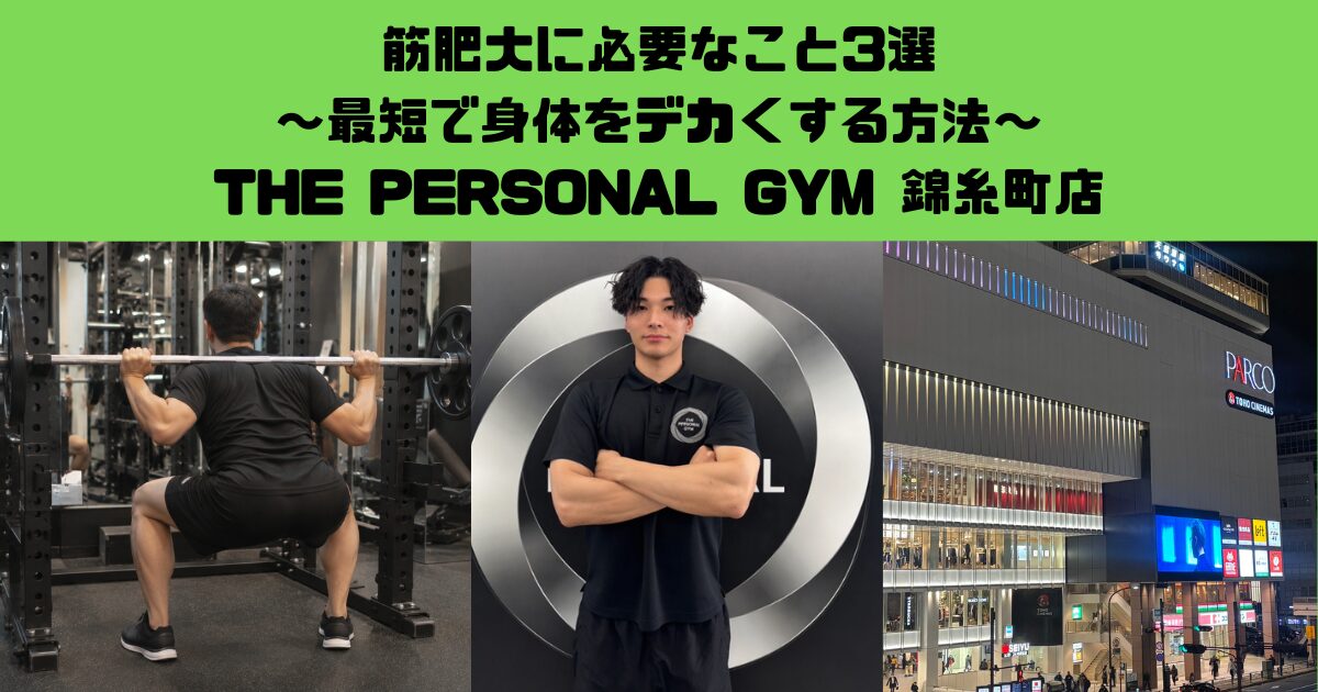 錦糸町店トレーナー直伝！！筋肥大に必要なこと3選-最短で身体をデカくする基本-