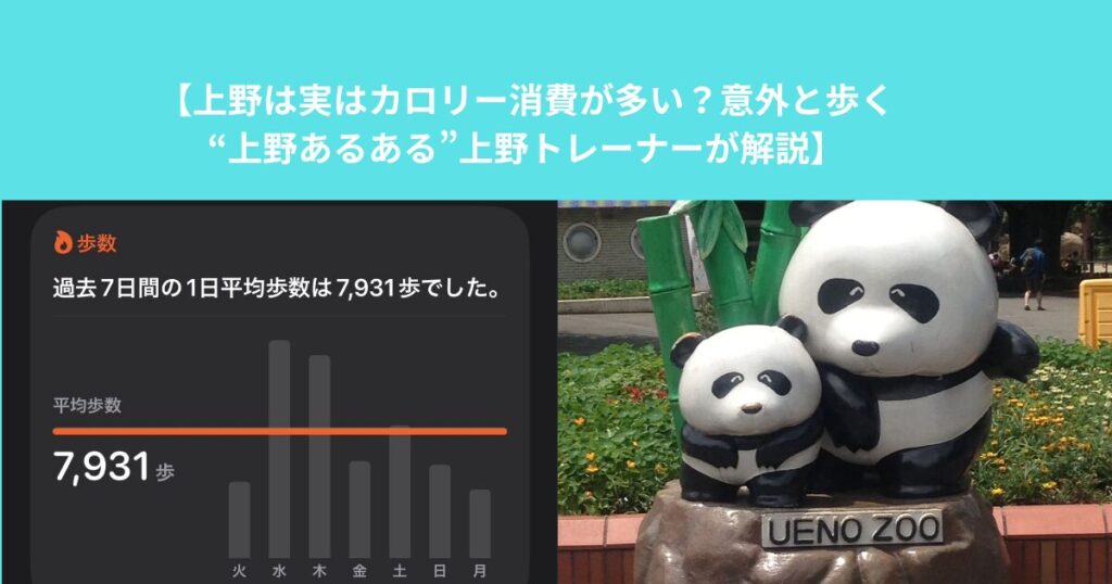 【上野は実はカロリー消費が多い？意外と歩く“上野あるある”をトレーナーが解説】
