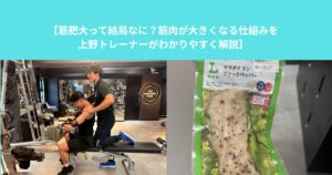 【筋肥大って結局なに？筋肉が大きくなる仕組みを上野トレーナーがわかりやすく解説】