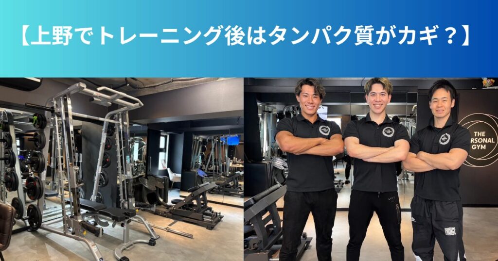 上野でトレーニング後はタンパク質がカギ？