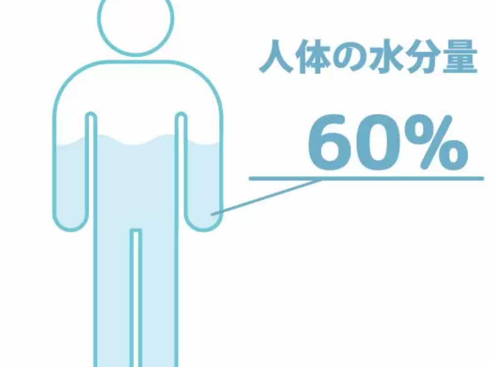 体内水分量