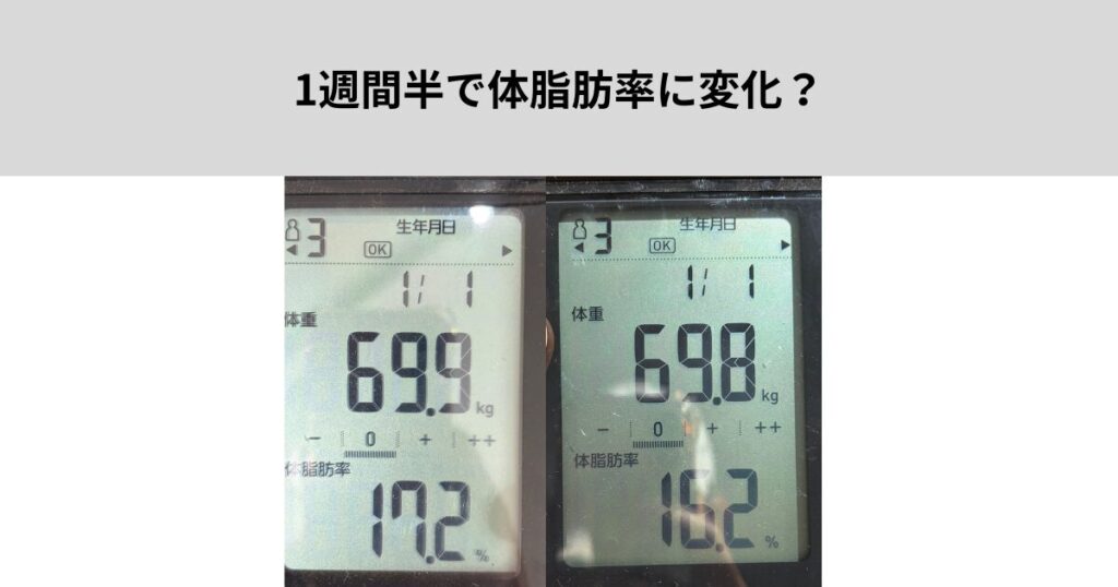 1週間半で体脂肪率に変化？【森下　パーソナルジム】