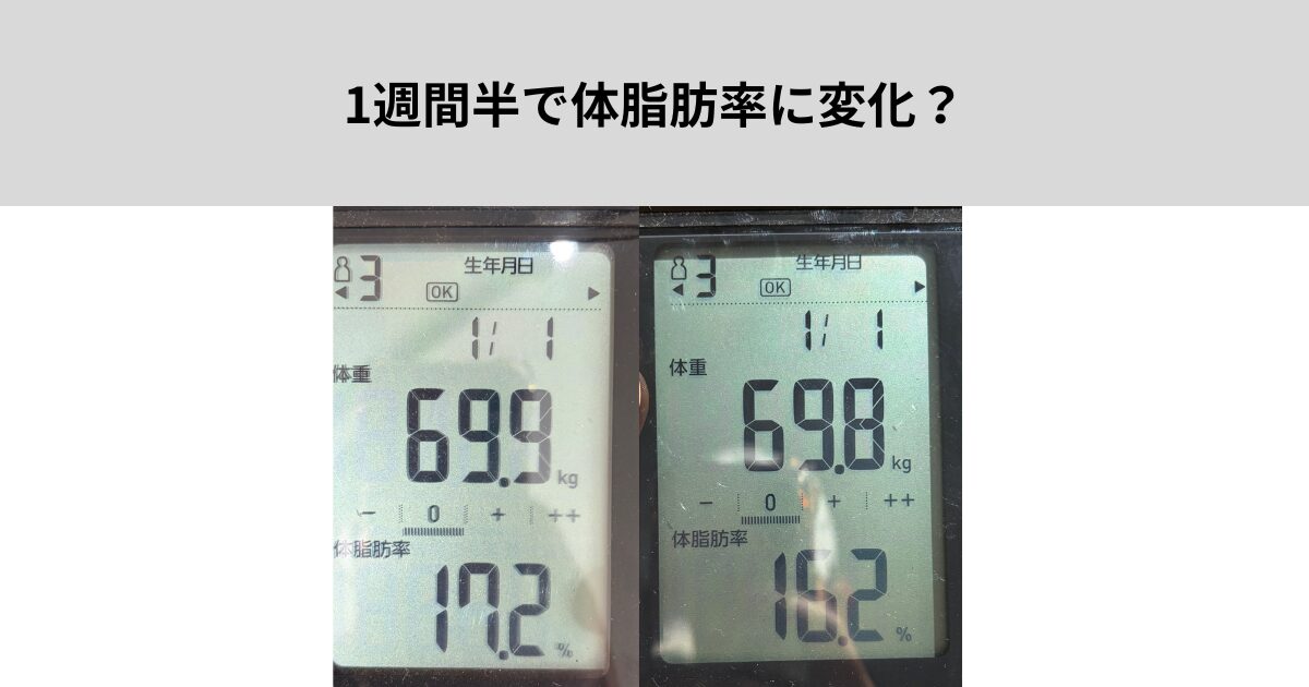 1週間半で体脂肪率に変化？【森下　パーソナルジム】