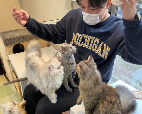國光詳細写真①