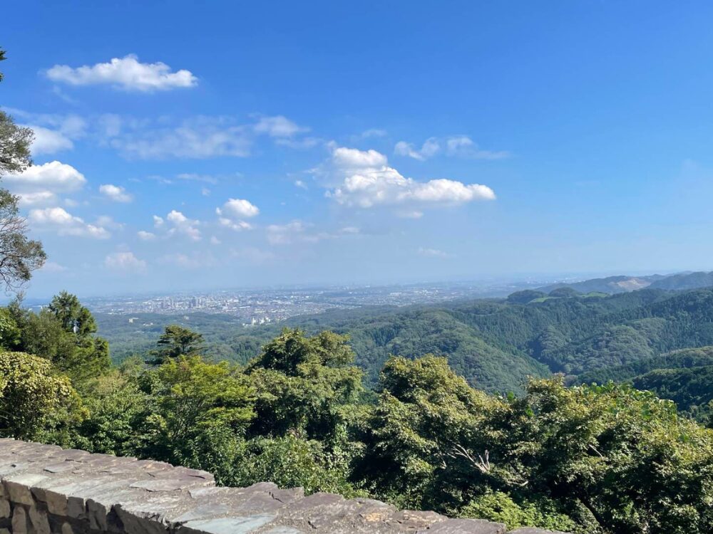 自然の風景
