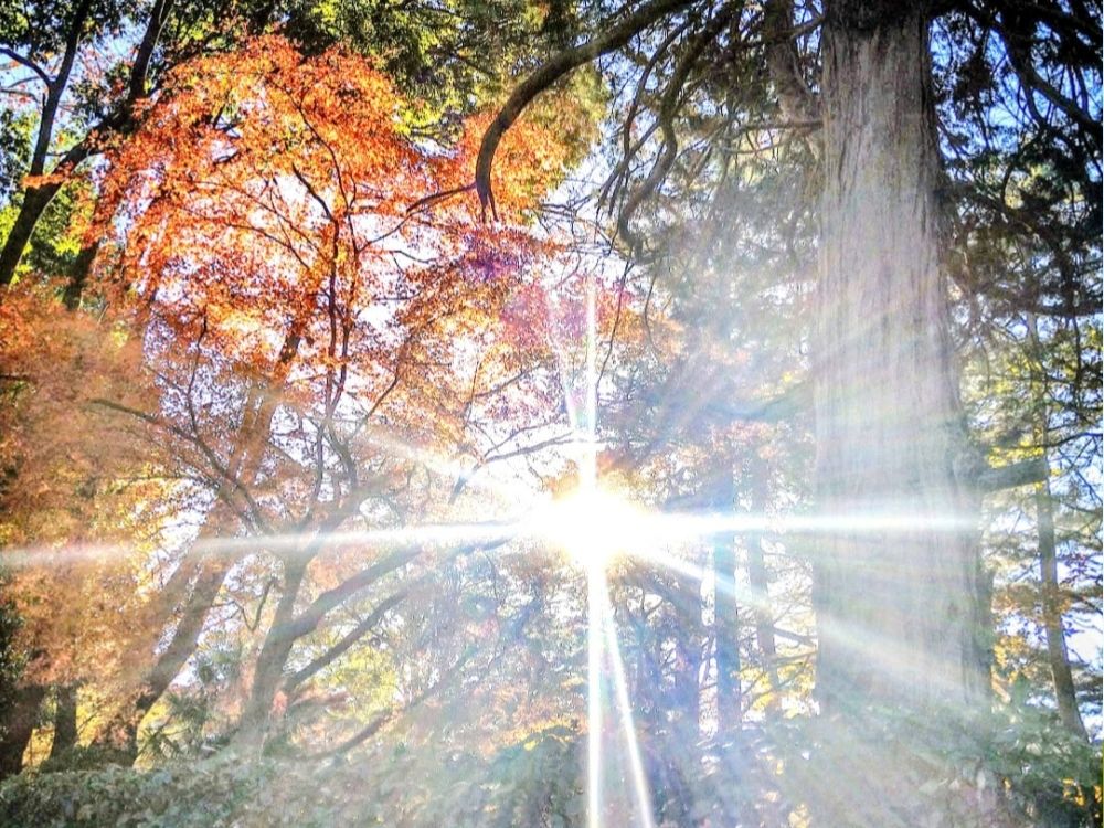 上野で朝活