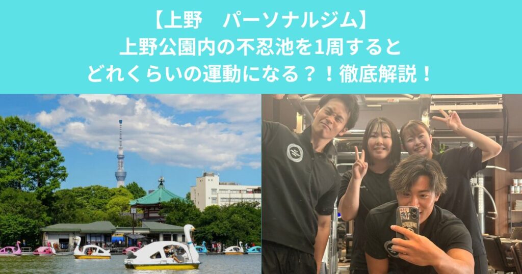 【上野　パーソナルジム】上野公園内の不忍池を1周するとどれくらいの運動になる？！徹底解説！
