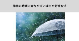 梅雨の時期に太りやすい理由と対策方法