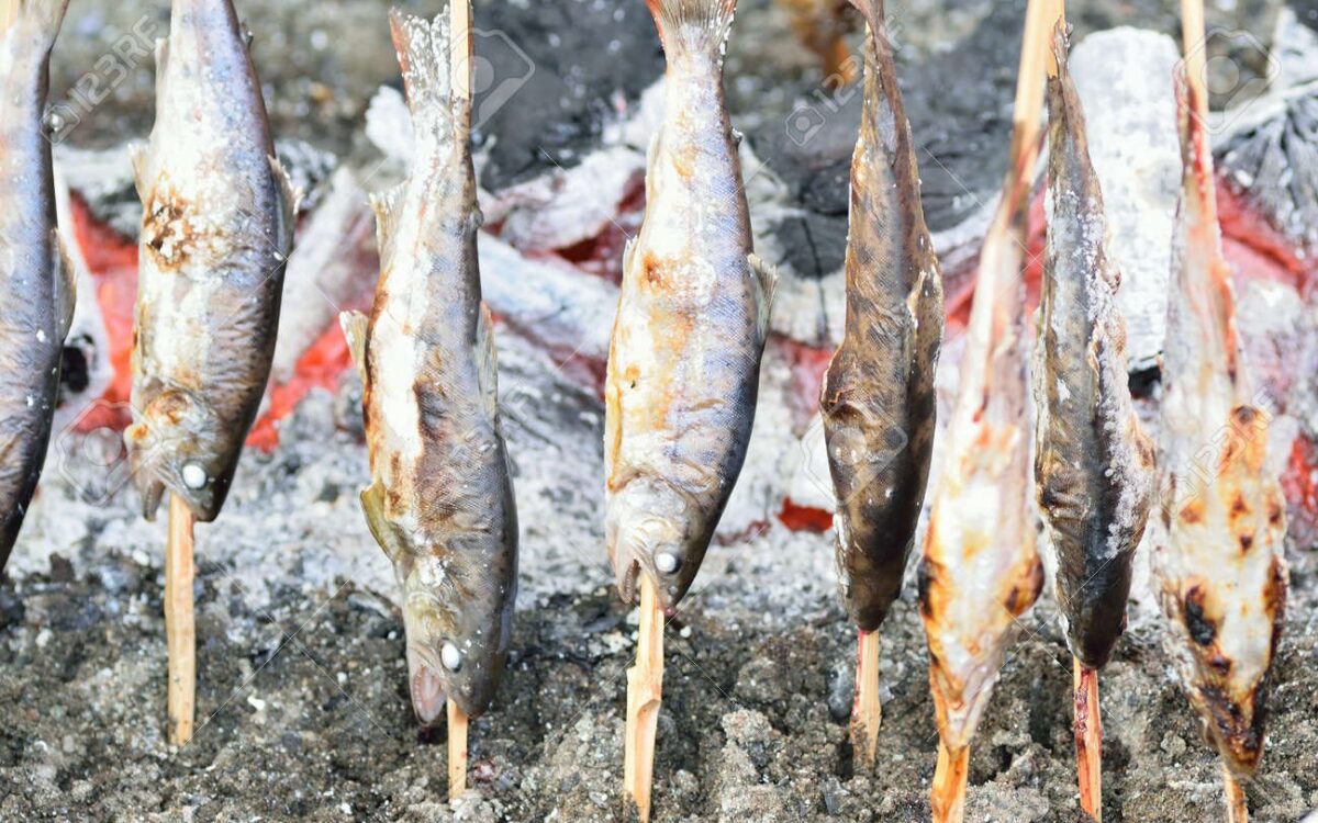 鮎の塩焼き
