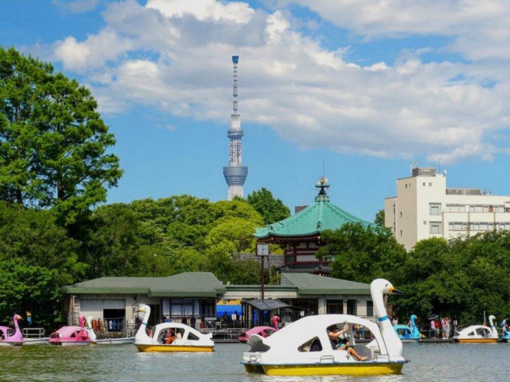 不忍池の写真