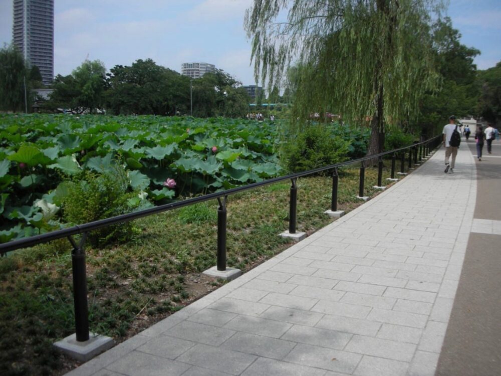 不忍池のウオーキングコース