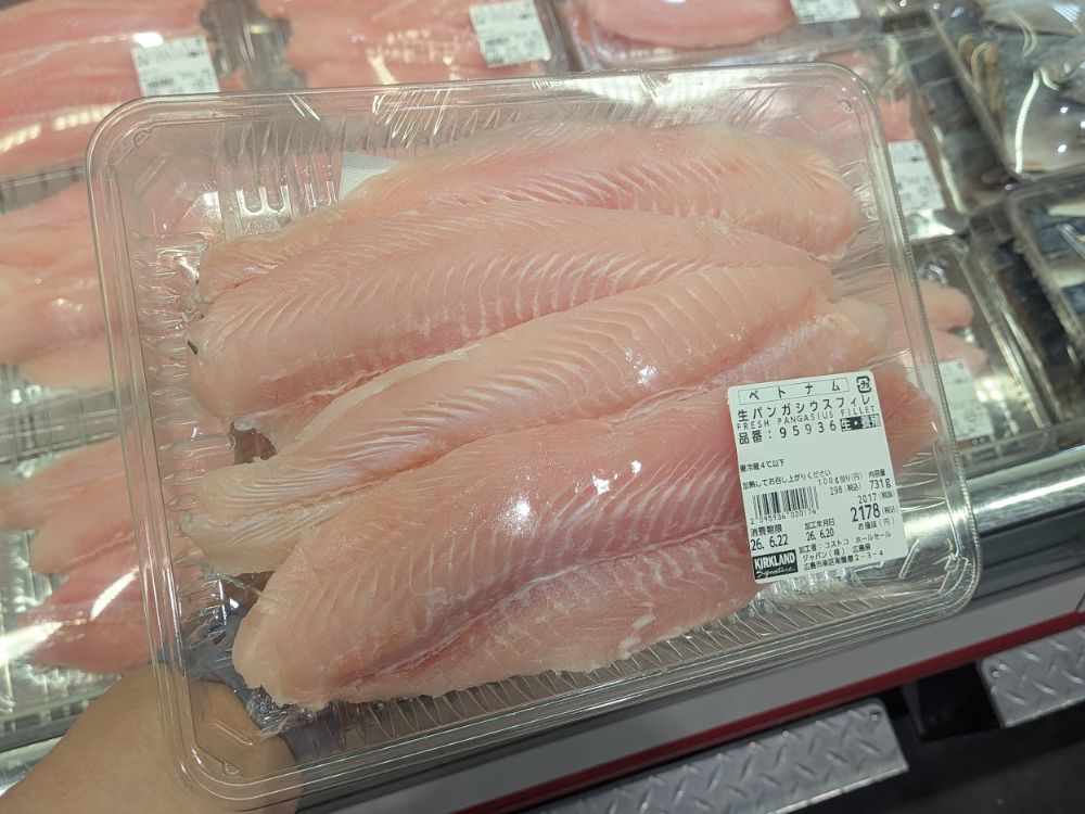 広島_ブログ画像_パンガシウス