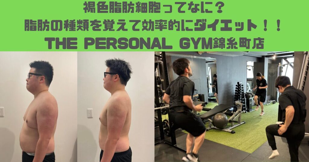 【THE PERSONAL GYM錦糸町店】褐色脂肪細胞ってなに？脂肪の種類を覚えて効率的にダイエット！！