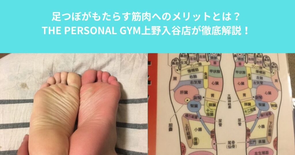 足つぼの効果とは？臓器・身体・筋肉へのメリットを徹底解説 　THE PERSONAL GYM　上野・入谷店