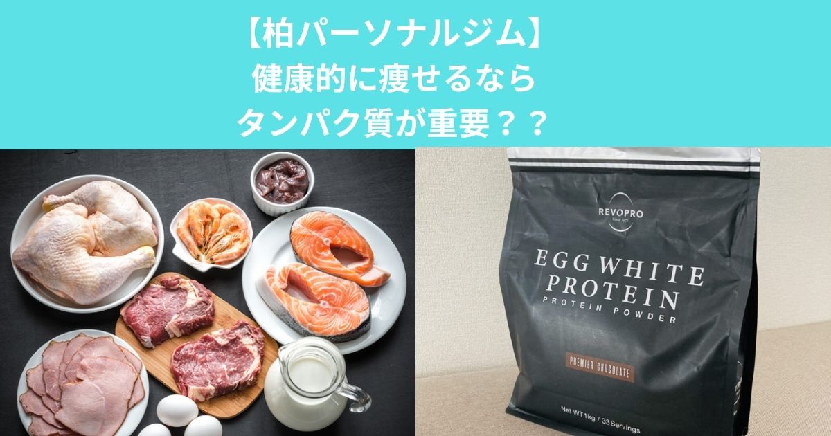 柏で健康的に痩せるなら「たんぱく質」が重要です！ダイエット成功のポイントを解説！