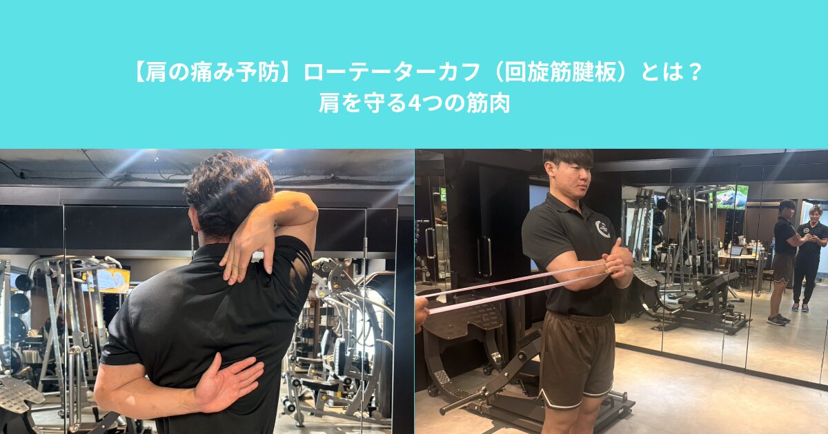 【肩の痛み予防】ローテーターカフ（回旋筋腱板）とは？肩を守る4つの筋肉