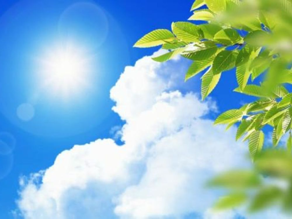 猛暑の夏