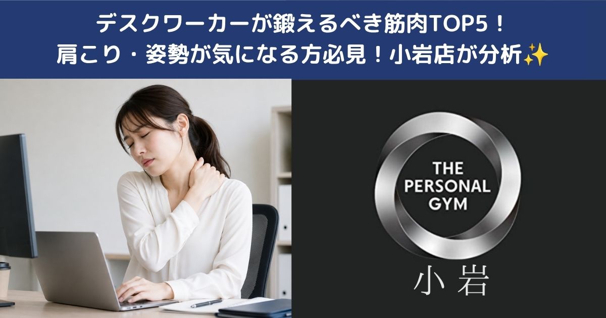 💻デスクワーカーが鍛えるべき筋肉TOP5！肩こり・姿勢が気になる方必見！小岩店が分析✨