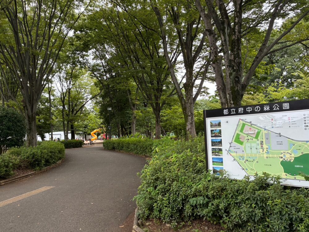 府中の森公園の写真