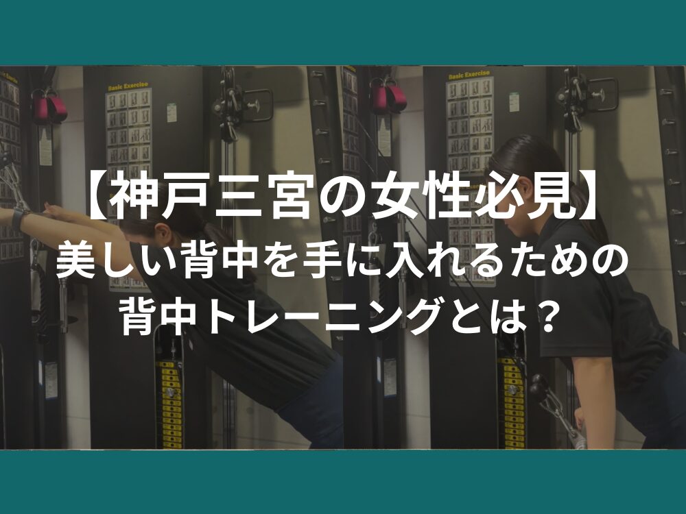 【神戸三宮の女性必見】美しい背中を手に入れるための背中トレーニングとは？