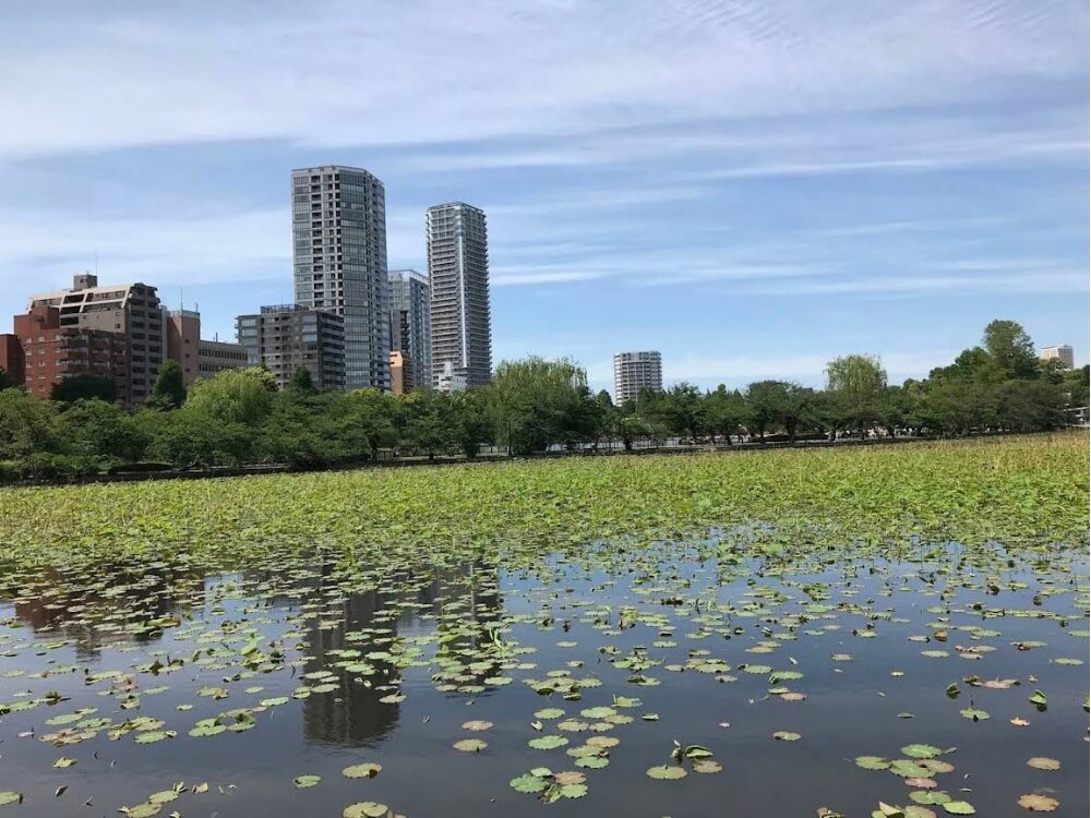 上野公園・不忍池