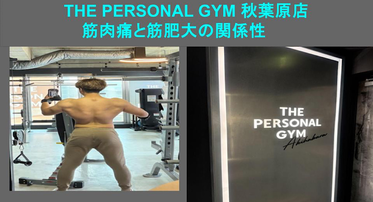【THE PERSONAL GYM 秋葉原店】筋肉痛と筋肥大の関連性とは！？