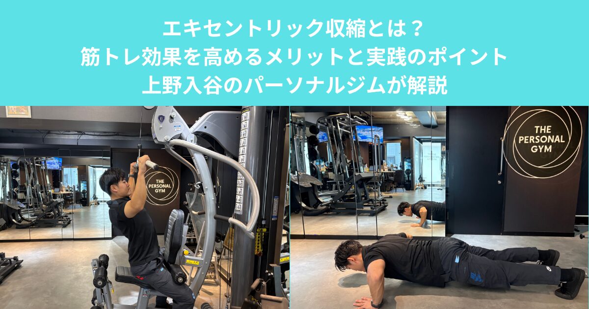 エキセントリック収縮とは？筋トレ効果を高めるメリットと実践のポイント｜上野入谷のパーソナルジムが解説