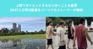 上野でダイエットするなら歩くことも重要｜NEATと日常活動量をパーソナルトレーナーが解説