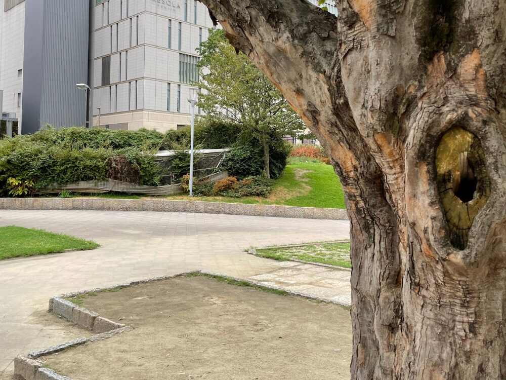 警固公園の写真