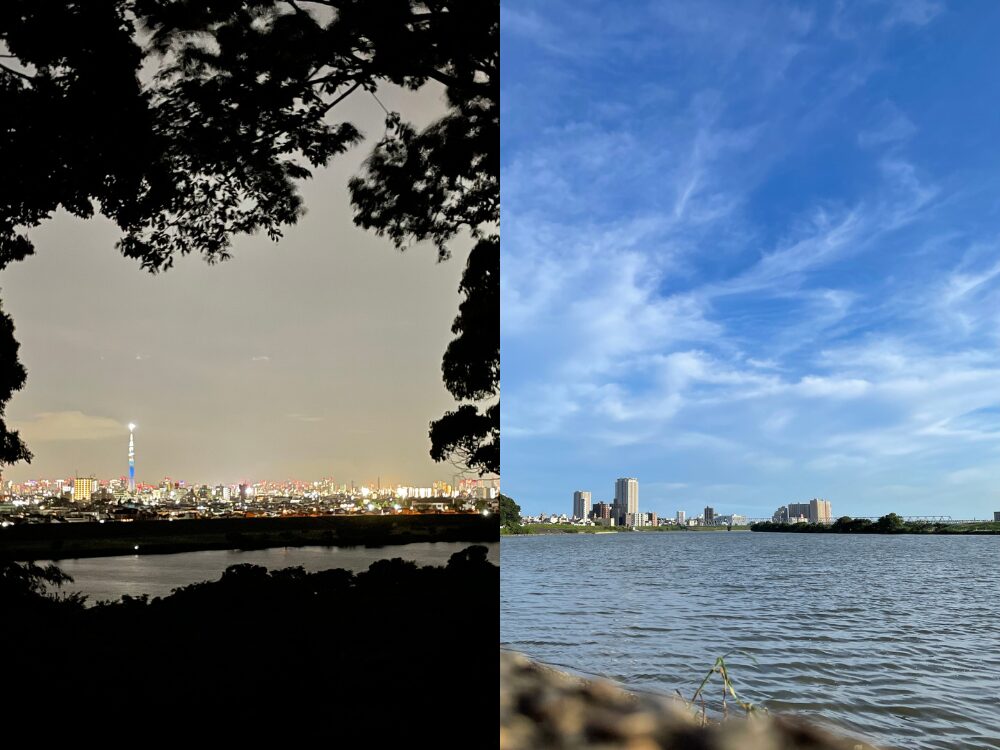 里見公園から見える景色