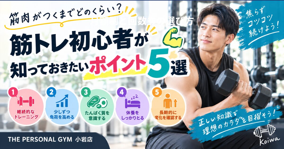 【THE PERSONAL GYM小岩店】筋肉がつくまでどのくらい？筋トレ初心者が知っておきたいポイント5選💪✨